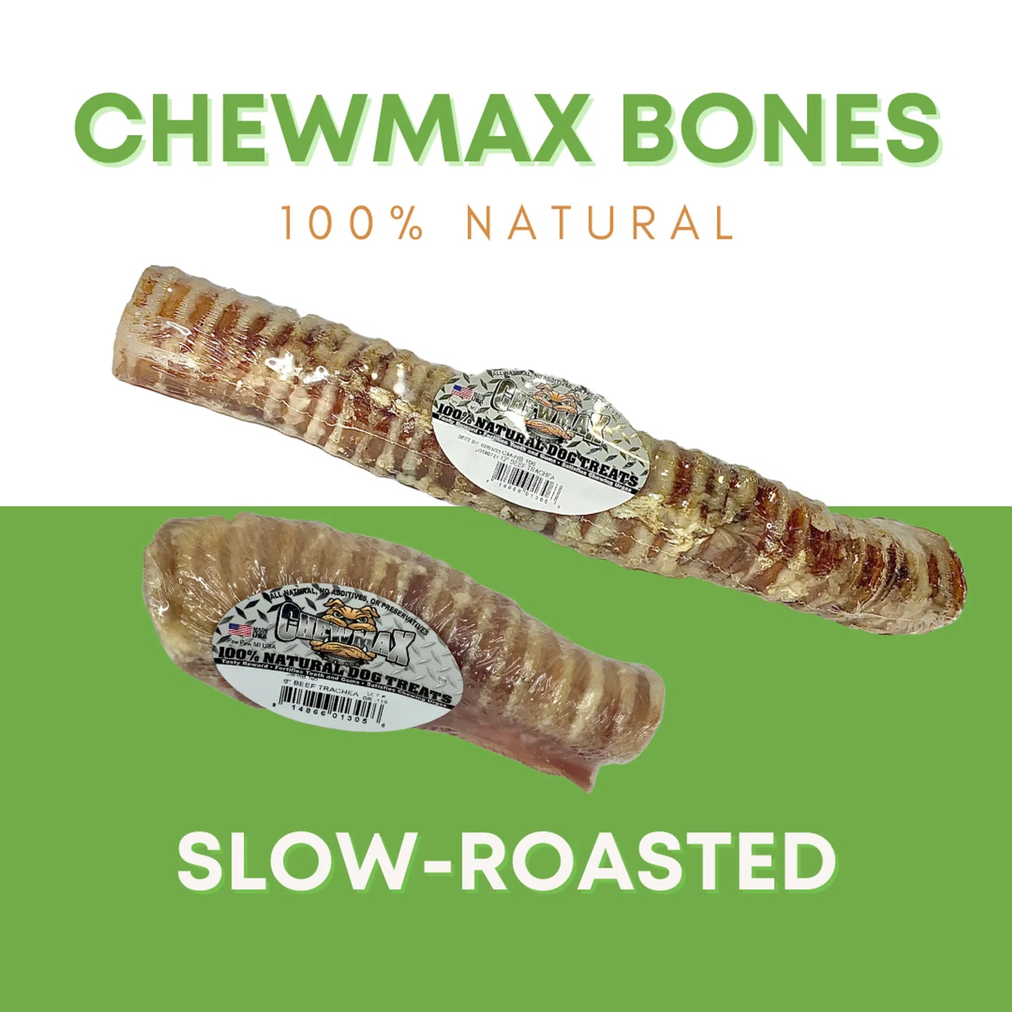 6" Beef Trachea Bone